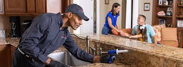 Best Residential Pest Control  in Liberty Lake, WA